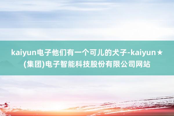 kaiyun电子他们有一个可儿的犬子-kaiyun★(集团)电子智能科技股份有限公司网站