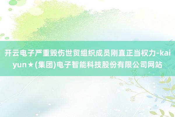 开云电子严重毁伤世贸组织成员刚直正当权力-kaiyun★(集团)电子智能科技股份有限公司网站