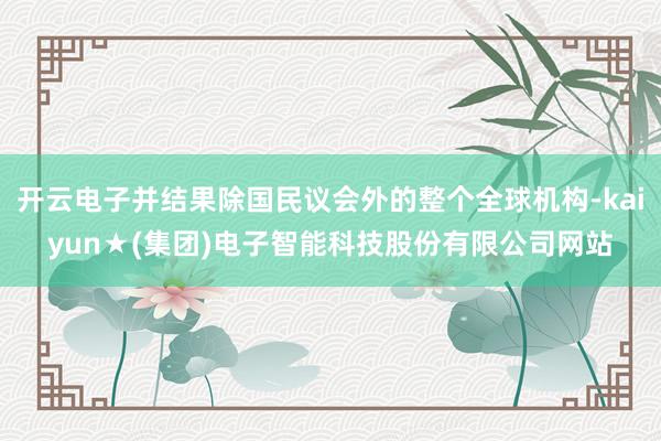 开云电子并结果除国民议会外的整个全球机构-kaiyun★(集团)电子智能科技股份有限公司网站